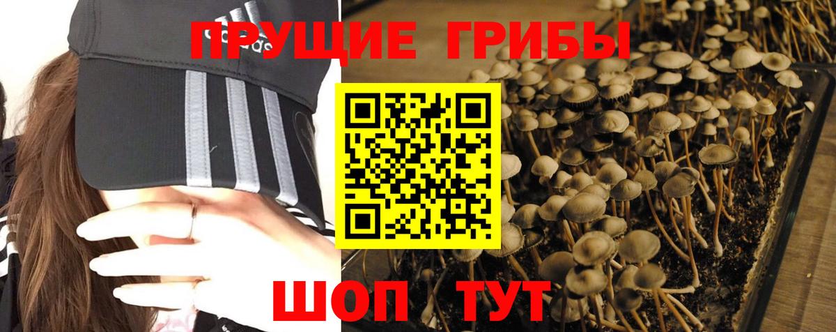 Галлюциногенные грибы Magic Shrooms Санкт-Петербург