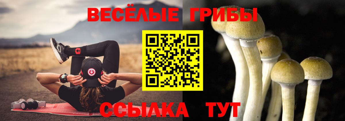Галлюциногенные грибы Cubensis  Вход с VPN  Санкт-Петербург 